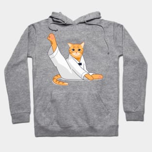 TKD Cat Hoodie